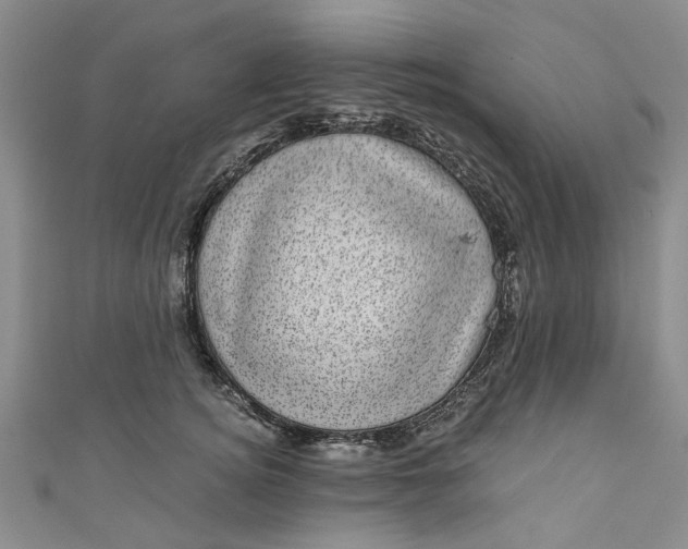 X0000110870756200907021436