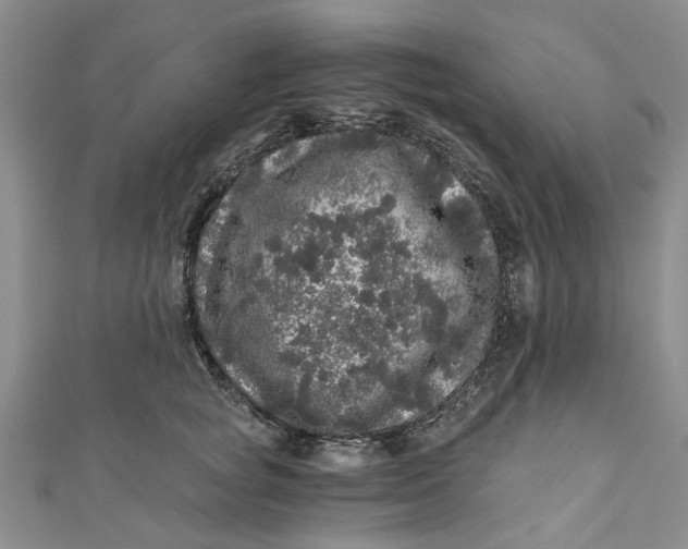 X0000110870757200907021436