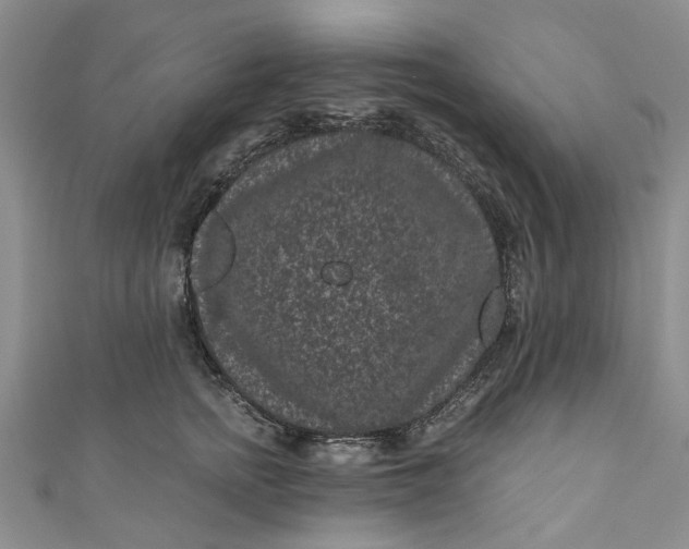 X0000110870758200907021436