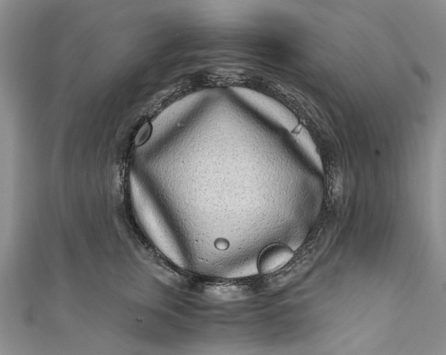 X0000110870759200907021436