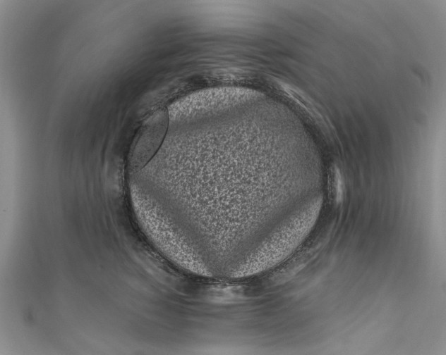 X0000110870760200907021436