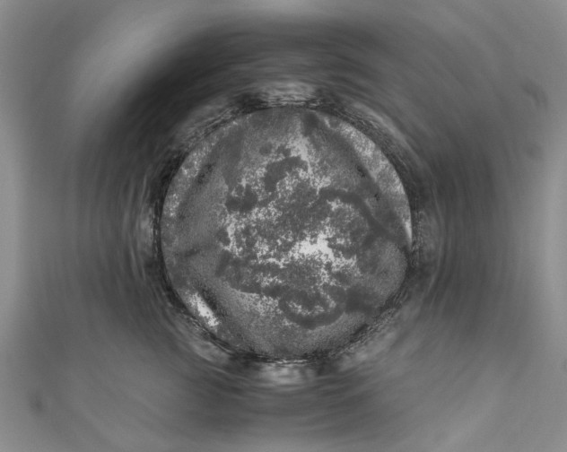 X0000110870761200907021436