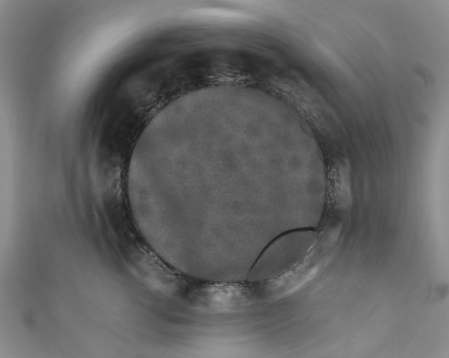 X0000110870762200907021436