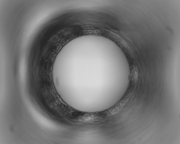 X0000110870764200907021436