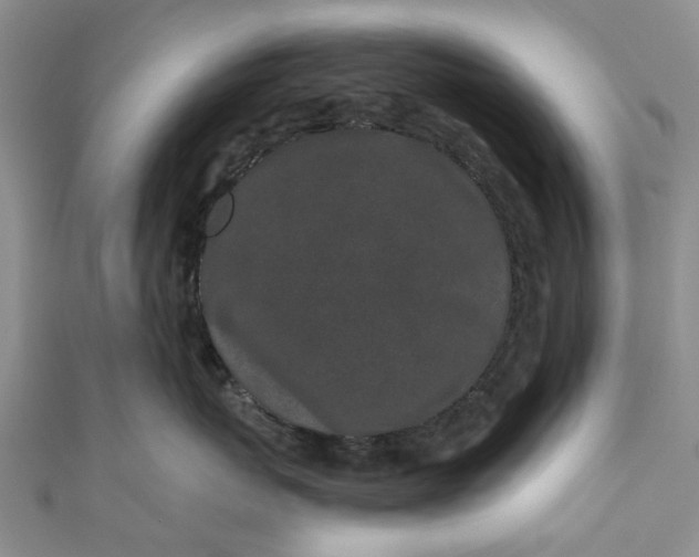 X0000110870767200907021436