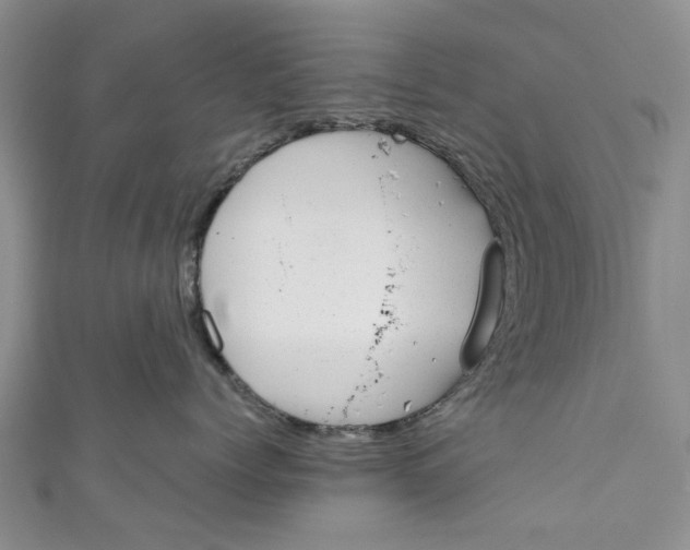 X0000110870768200907021436