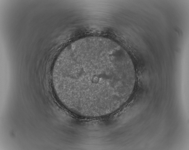 X0000110870769200907021436