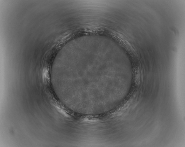 X0000110870770200907021436