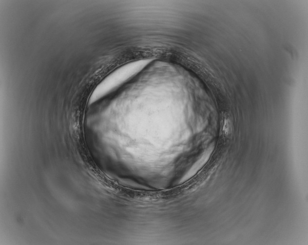 X0000110870771200907021436