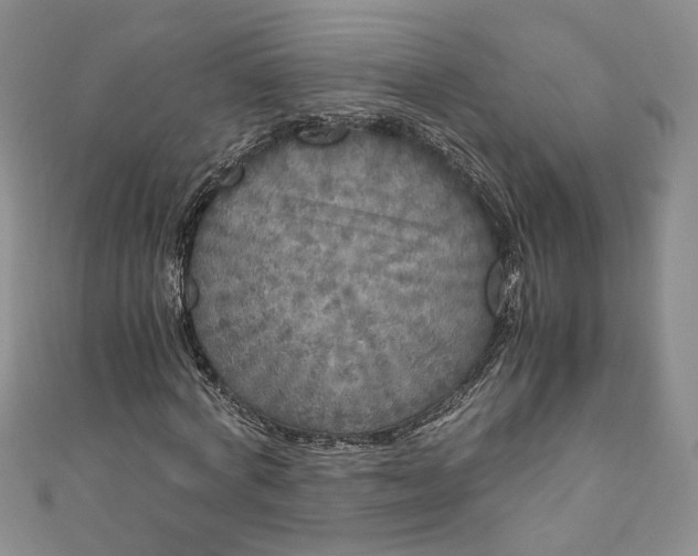 X0000110870772200907021436