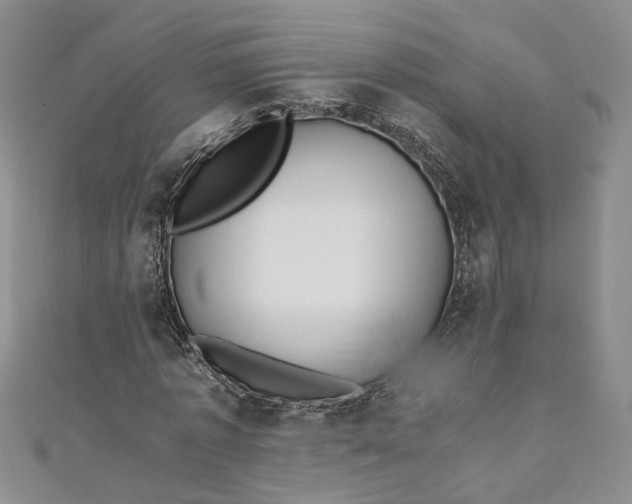 X0000110870773200907021436