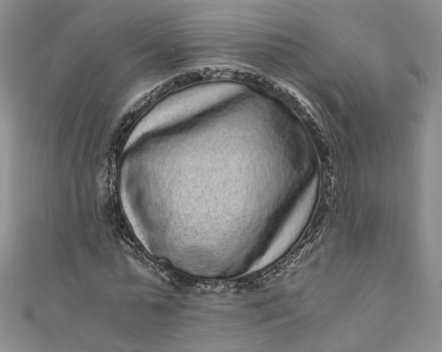 X0000110870775200907021436