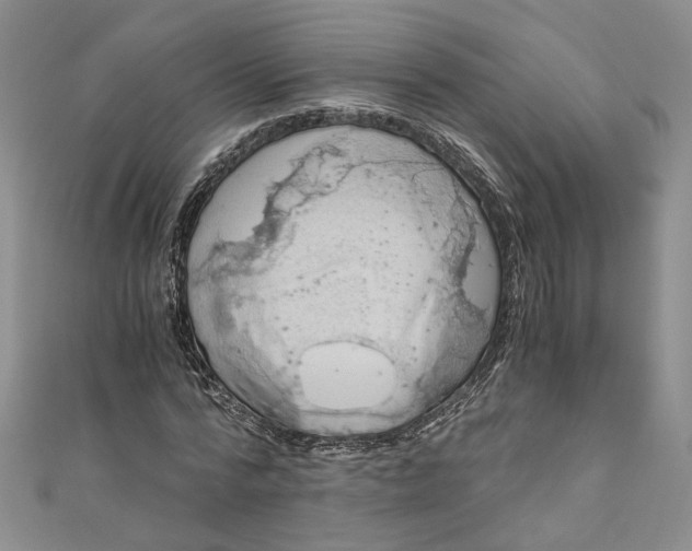 X0000110870776200907021436