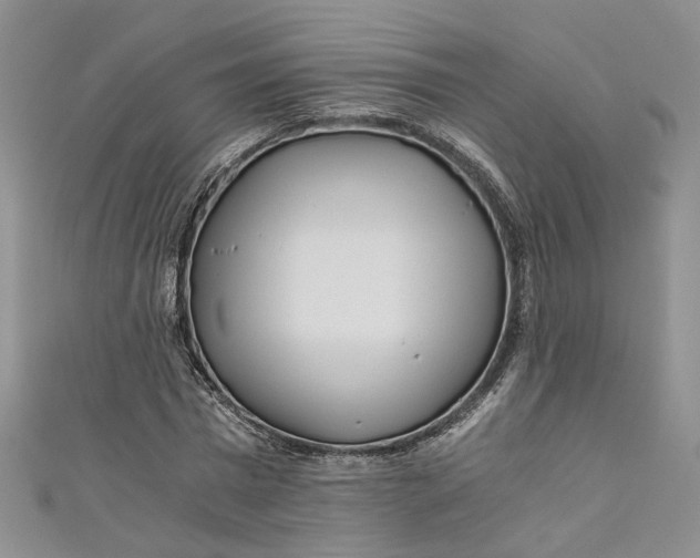 X0000110870777200907021435