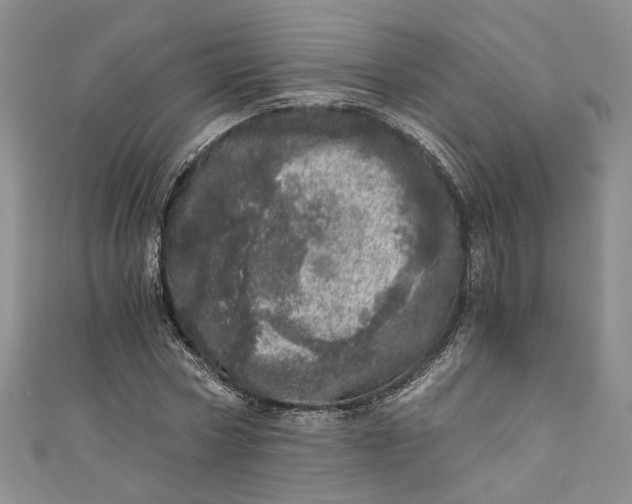 X0000110870778200907021435