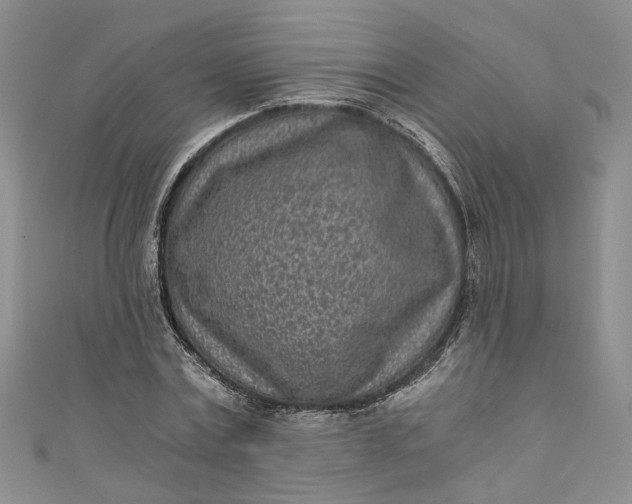 X0000110870779200907021435