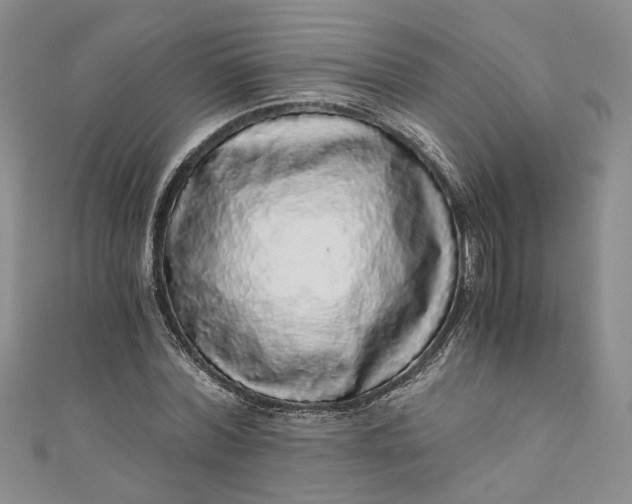 X0000110870780200907021435