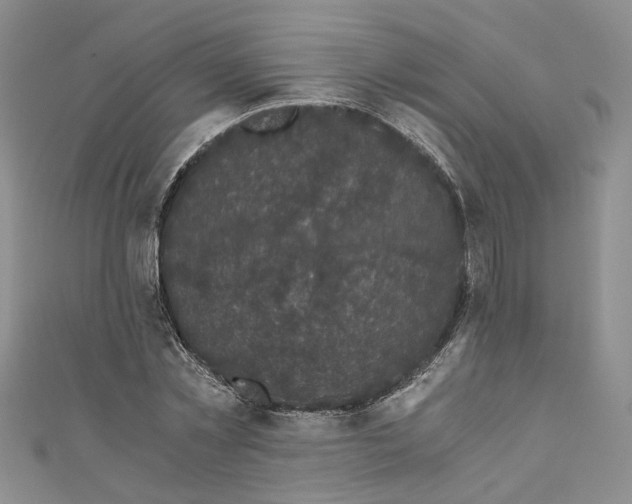 X0000110870781200907021435