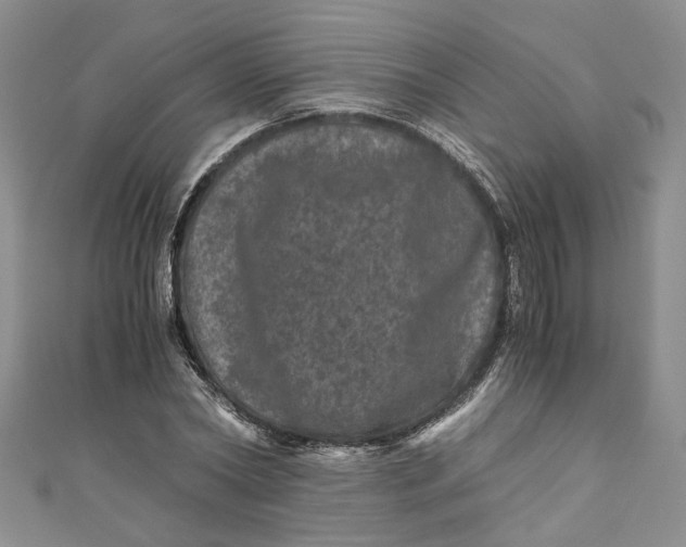 X0000110870782200907021435