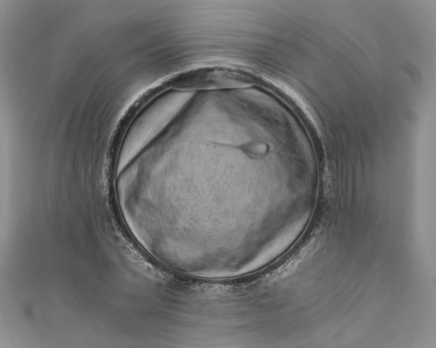 X0000110870783200907021435