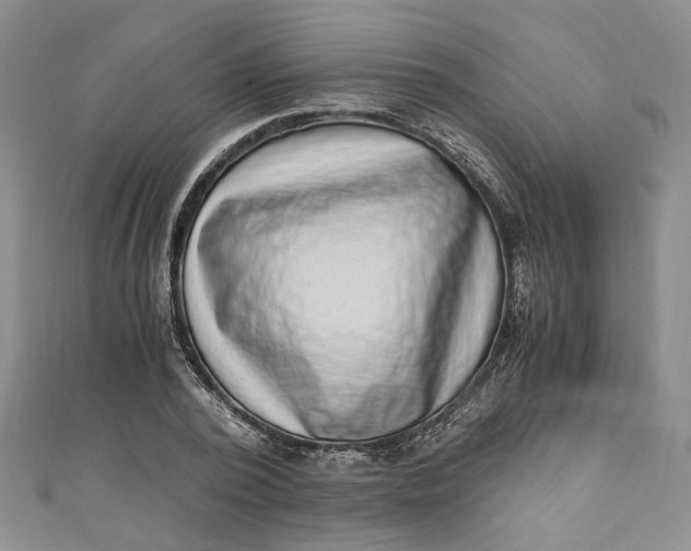 X0000110870784200907021435