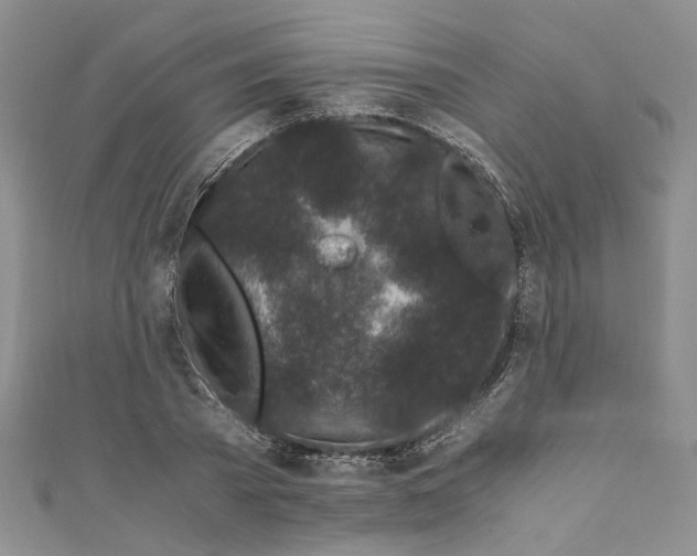 X0000110870785200907021435