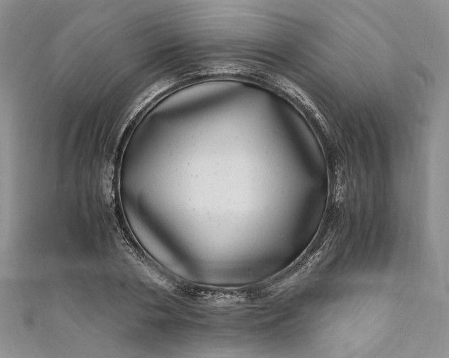 X0000110870786200907021435