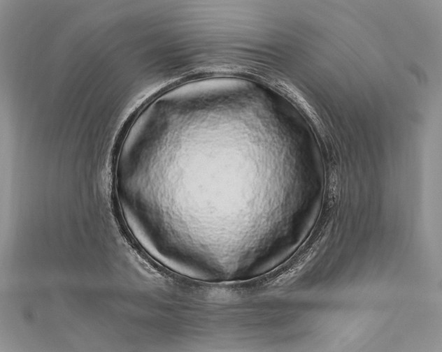 X0000110870787200907021435