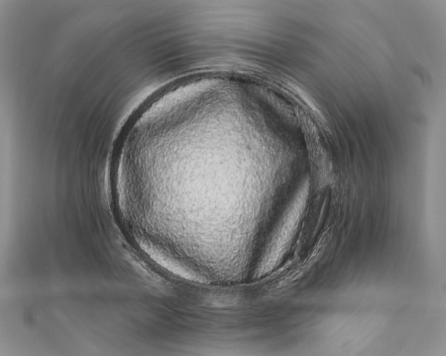 X0000110870788200907021435