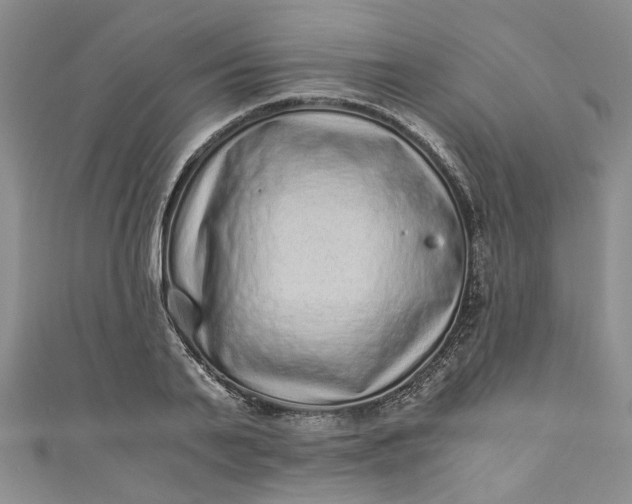 X0000110870791200907021435