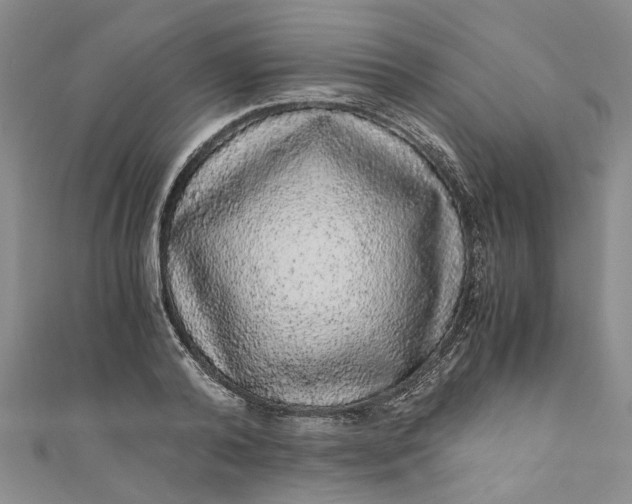 X0000110870792200907021435