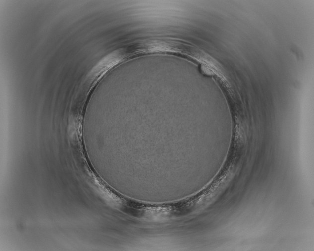 X0000110870793200907021435