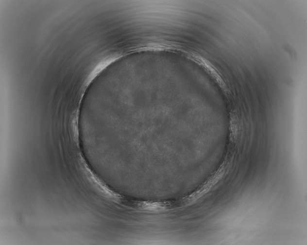 X0000110870794200907021435