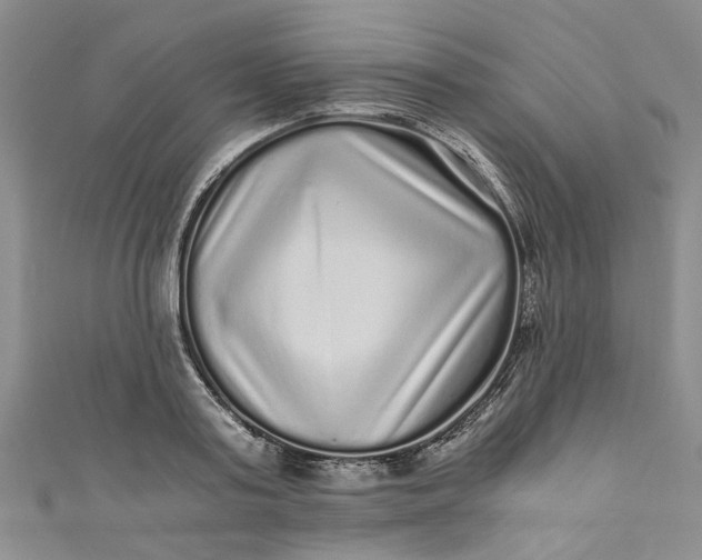 X0000110870795200907021435