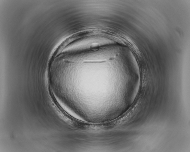 X0000110870796200907021435