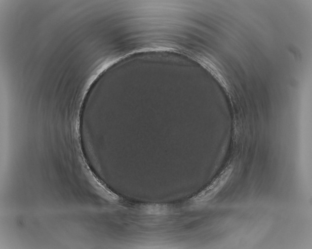 X0000110870797200907021435