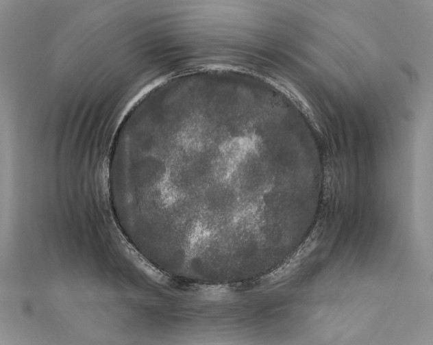 X0000110870798200907021435