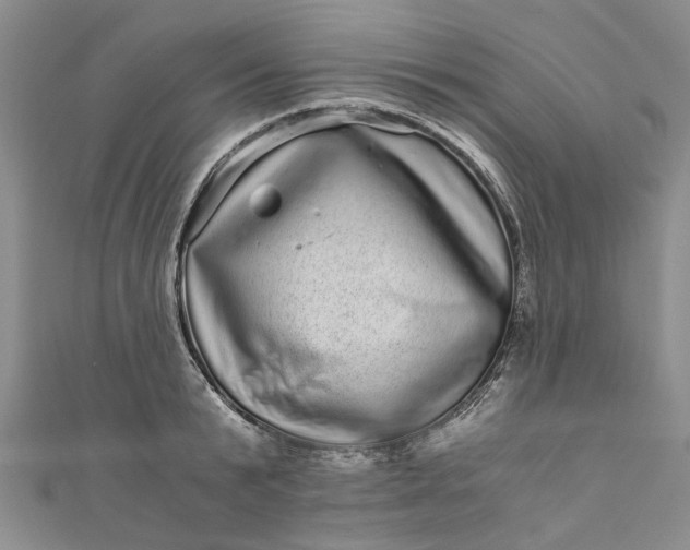 X0000110870799200907021435