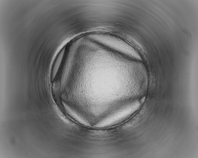 X0000110870800200907021435