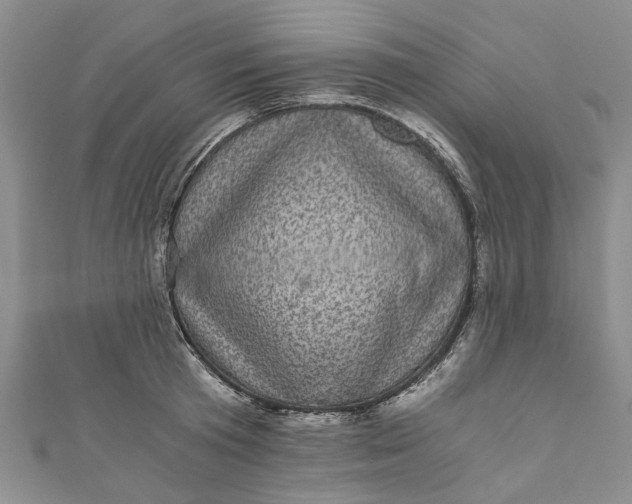 X0000110870801200907021435