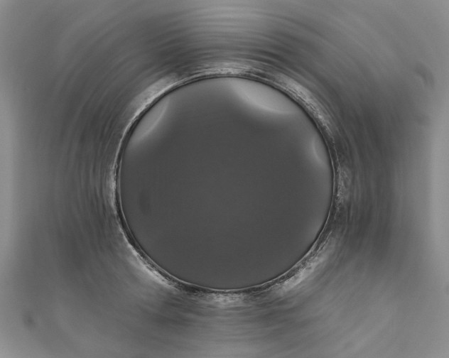 X0000110870802200907021435