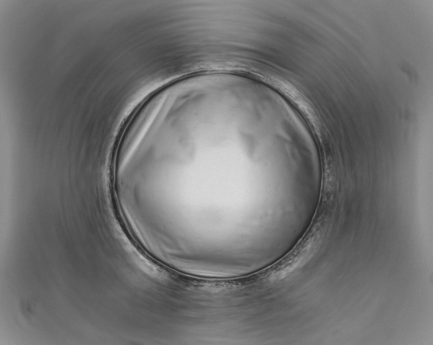 X0000110870803200907021435