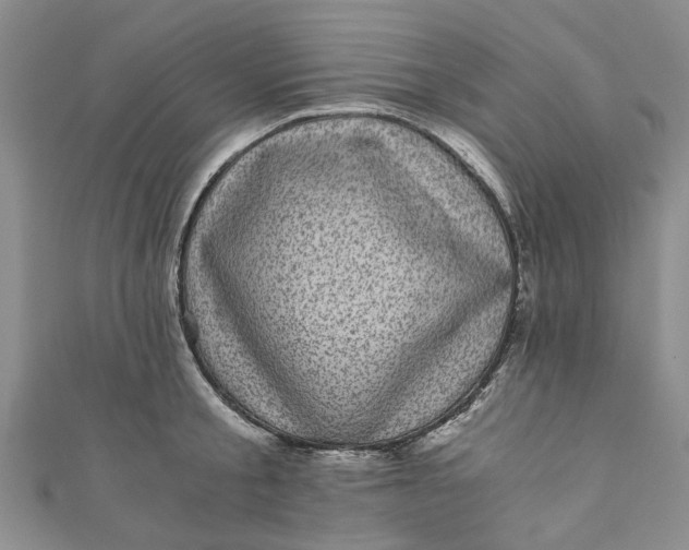 X0000110870805200907021435