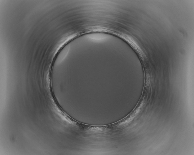 X0000110870806200907021435