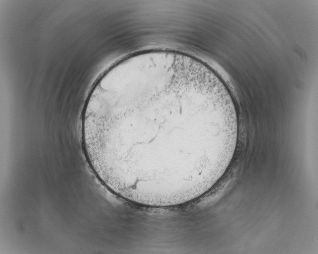 X0000110870807200907021435