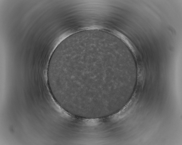 X0000110870810200907021435