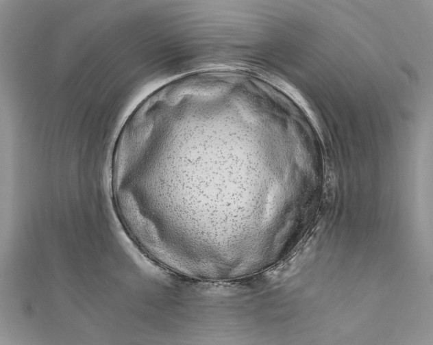 X0000110870811200907021435