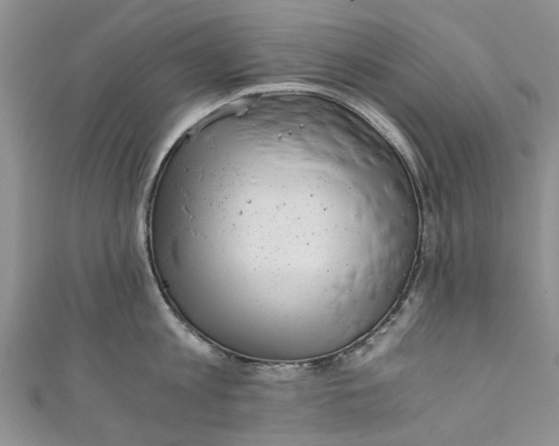 X0000110870813200907021435