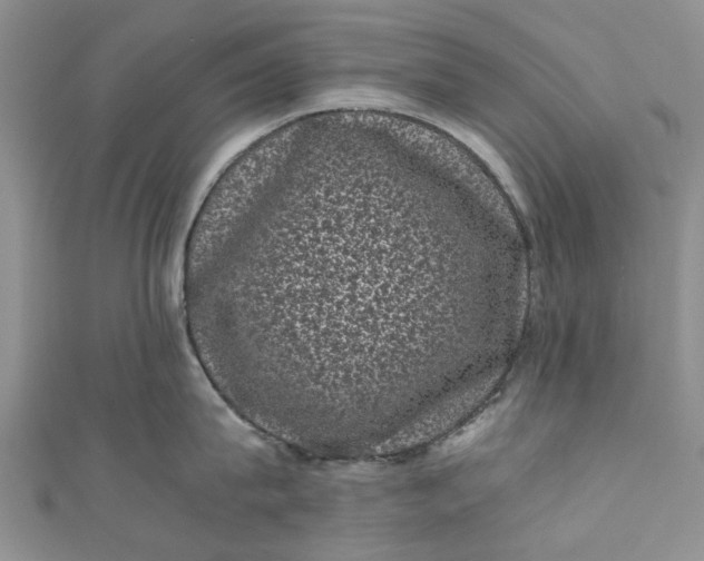 X0000110870815200907021435