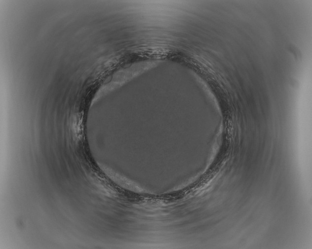 X0000110870818200907021434